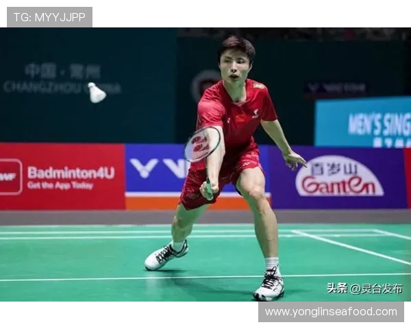 武汉羽毛球队在羽毛球状态排行榜中荣登第五名展现强劲实力与潜力