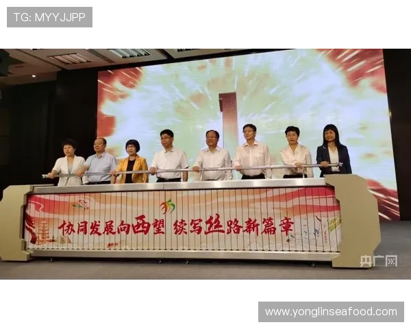 西安足球队改革新篇章探索控制创新与发展之路